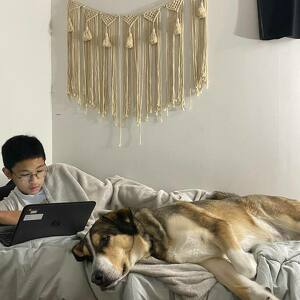 Fundraising Page: Marco  Arnuco